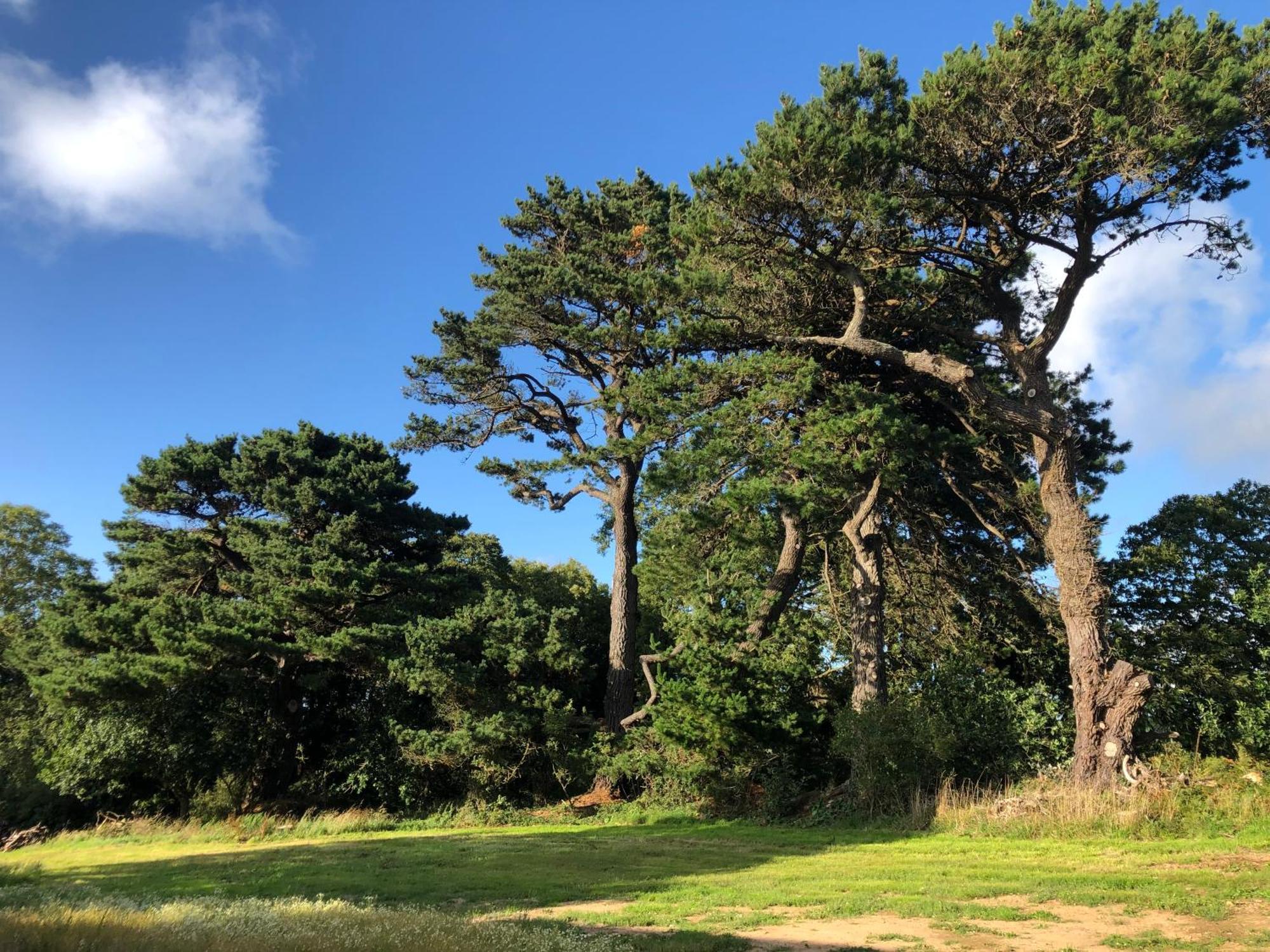 Les Ecolodges Sous Le Phare Louannec Luaran gambar
